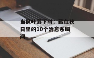 当枫叶落下时：藏在秋日里的10个治愈系瞬间