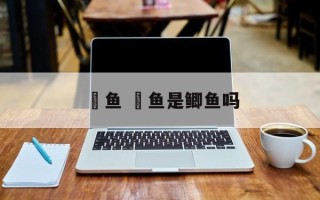 鲗鱼 鲗鱼是鲫鱼吗