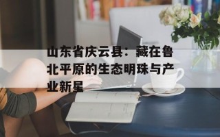 山东省庆云县：藏在鲁北平原的生态明珠与产业新星