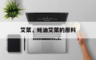 艾菜，蚝油艾菜的原料