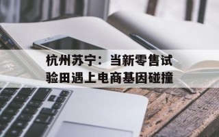 杭州苏宁：当新零售试验田遇上电商基因碰撞
