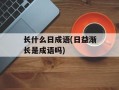 长什么日成语(日益渐长是成语吗)