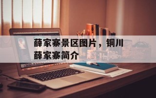 薛家寨景区图片，铜川薛家寨简介