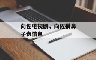 向佐电视剧，向佐摸鼻子表情包