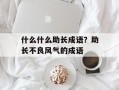 什么什么助长成语？助长不良风气的成语