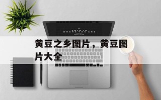 黄豆之乡图片，黄豆图片大全