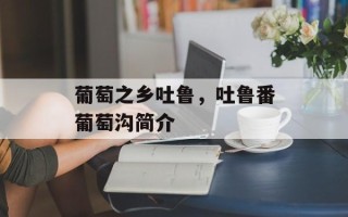 葡萄之乡吐鲁，吐鲁番葡萄沟简介