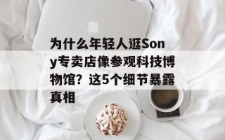 为什么年轻人逛Sony专卖店像参观科技博物馆？这5个细节暴露真相