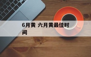 6月黄 六月黄最佳时间