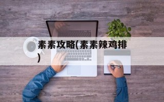 素素攻略(素素辣鸡排)