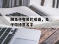 跟兔子有关的成语，兔子带诗意名字
