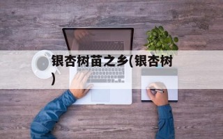 银杏树苗之乡(银杏树)