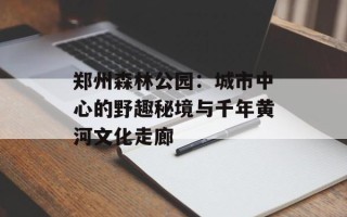郑州森林公园：城市中心的野趣秘境与千年黄河文化走廊