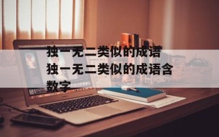 独一无二类似的成语 独一无二类似的成语含数字
