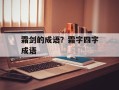 霜剑的成语？霜字四字成语
