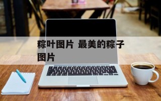 粽叶图片 最美的粽子图片