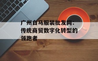 广州白马服装批发网：传统商贸数字化转型的领跑者