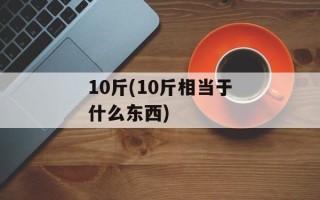 10斤(10斤相当于什么东西)