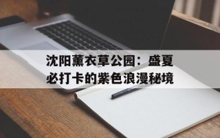 沈阳薰衣草公园：盛夏必打卡的紫色浪漫秘境
