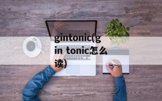gintonic(gin tonic怎么读)