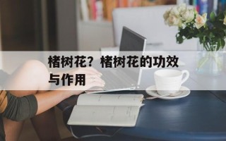 楮树花？楮树花的功效与作用