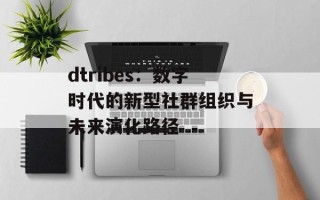 dtribes：数字时代的新型社群组织与未来演化路径