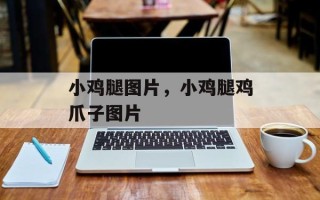 小鸡腿图片，小鸡腿鸡爪子图片