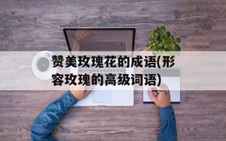 赞美玫瑰花的成语(形容玫瑰的高级词语)