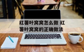 红薯叶窝窝怎么做 红薯叶窝窝的正确做法