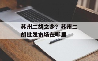 苏州二胡之乡？苏州二胡批发市场在哪里