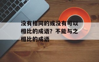 没有相同的或没有可以相比的成语？不能与之相比的成语