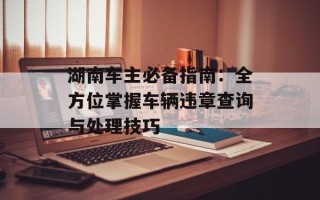 湖南车主必备指南：全方位掌握车辆违章查询与处理技巧