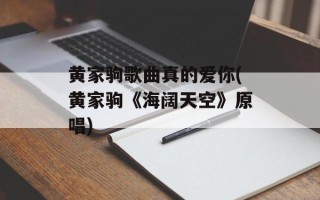黄家驹歌曲真的爱你(黄家驹《海阔天空》原唱)