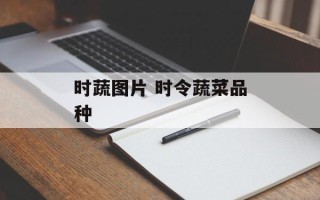 时蔬图片 时令蔬菜品种