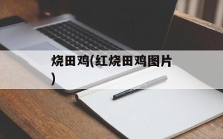 烧田鸡(红烧田鸡图片)