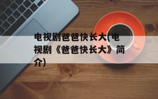 电视剧爸爸快长大(电视剧《爸爸快长大》简介)