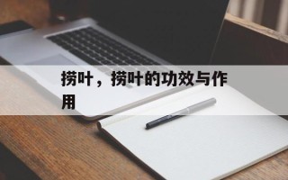 捞叶，捞叶的功效与作用