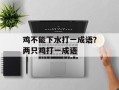 鸡不能下水打一成语？两只鸡打一成语