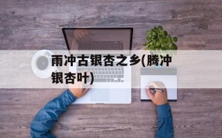 雨冲古银杏之乡(腾冲银杏叶)