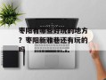 枣阳有哪些好玩的地方？枣阳新雅巷还有玩的吗