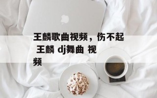 王麟歌曲视频，伤不起 王麟 dj舞曲 视频