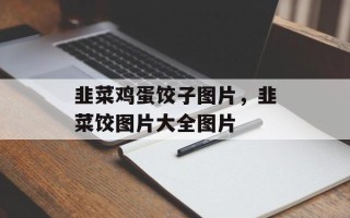 韭菜鸡蛋饺子图片，韭菜饺图片大全图片