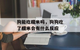 狗能吃糯米吗，狗狗吃了糯米会有什么反应