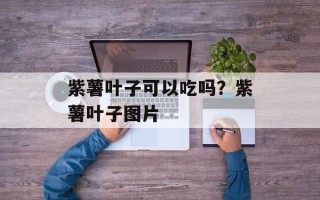 紫薯叶子可以吃吗？紫薯叶子图片