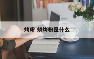 烤粉 烧烤粉是什么