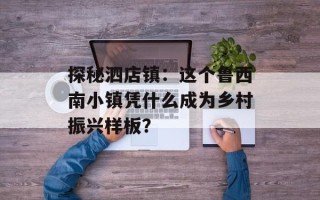 探秘泗店镇：这个鲁西南小镇凭什么成为乡村振兴样板？