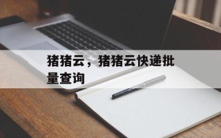 猪猪云，猪猪云快递批量查询