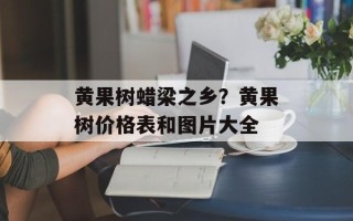 黄果树蜡梁之乡？黄果树价格表和图片大全