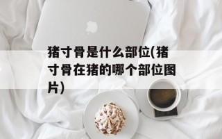 猪寸骨是什么部位(猪寸骨在猪的哪个部位图片)
