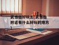 武当山好玩么(武当山附近有什么好玩的地方)